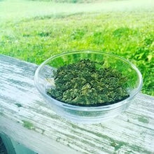 Load image into Gallery viewer, Gynostemma Tea  (Jiaogulan Tea)

